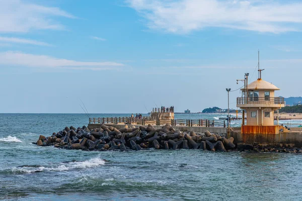 Gangneung Korea Październik 2019 Rybacy Port Gangneung Republika Korei — Zdjęcie stockowe
