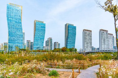 Incheon, Kore, 25 Ekim 2019: Kore Cumhuriyeti Incheon 'daki Songdo Central Park' ı çevreleyen gökdelenler