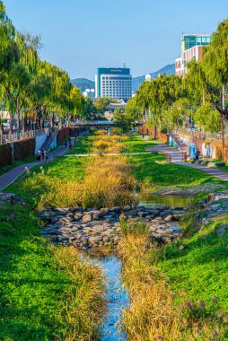 Suwon, Kore, 24 Ekim 2019 Suwon, Kore Cumhuriyeti 'ndeki Suwoncheon Nehri' nin Riverside 'ı