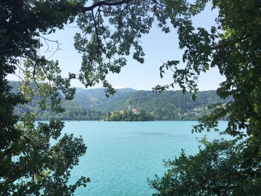 Slovenya 'da göl kenarında yaz yürüyüşü.