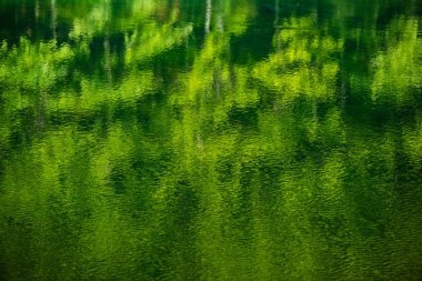 Suyun yüzeyinde yansıma