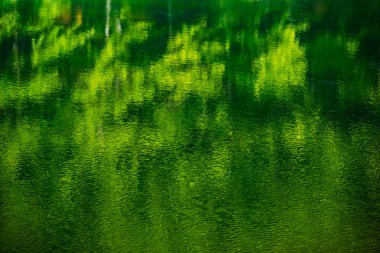 Suyun yüzeyinde yansıma