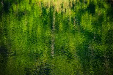 Suyun yüzeyinde yansıma