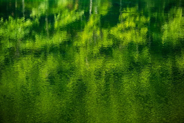 Suyun yüzeyinde yansıma