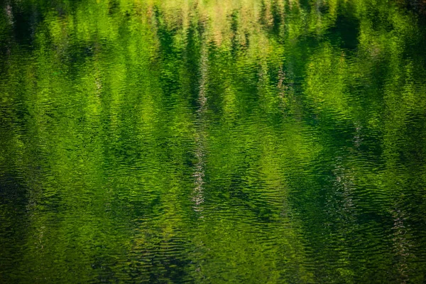 Suyun yüzeyinde yansıma