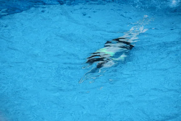 Chica Zambulle Piscina Una Forografía Abstracta — Foto de Stock