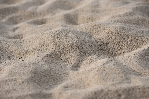 Plage Sable Fin Sous Soleil Été — Photo