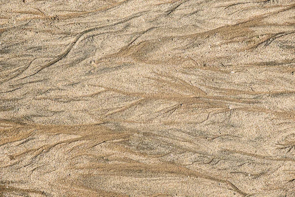 Мелкий Пляжный Песок После Дождя Абстракция — стоковое фото