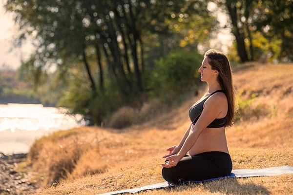 Mujer Embarazada Haciendo Yoga Naturaleza —  Fotos de Stock