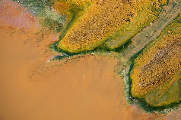 Vergiftigde Bodem Die Kleur Veranderd — Stockfoto