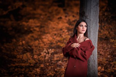 Güzel kız güzel sonbahar günü doğada poz