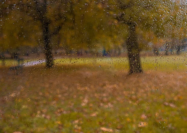 Otoño Día Lluvioso Vista Través Del Vaso Con Gotas Agua —  Fotos de Stock