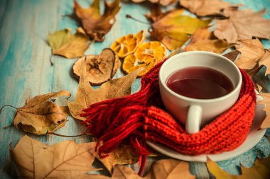 Çay yaprakları, elma ve Kuru portakal ile dekore edilmiş eski Yönetim Kurulu