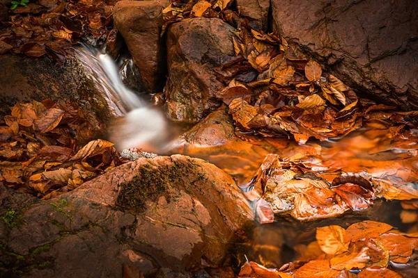 Cascade Ruisseau Montagne Avec Feuilles Automne Longue Exposition Pour Eau — Photo