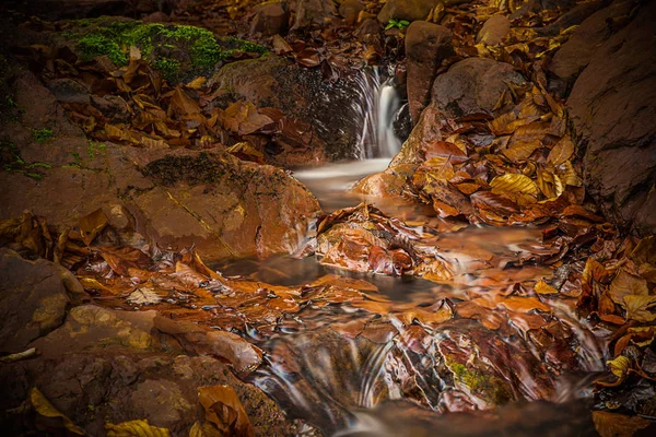 Cascada Arroyo Montaña Con Hojas Otoño Larga Exposición Para Agua — Foto de Stock