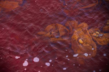 Kirli kırmızı lake, adam yaşam ortamı üzerinde kötü etkisi