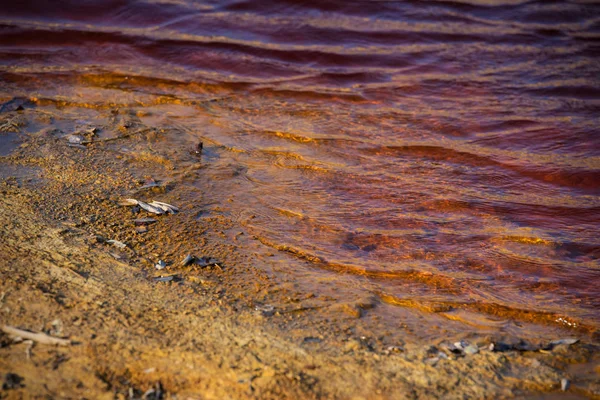 Polluted Red Lake Bad Influence Man Living Environment — Stock Photo, Image
