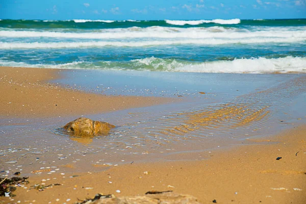 Playa de arena —  Fotos de Stock