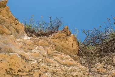 Kırık doğal duvar