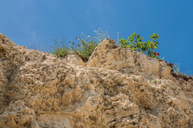 Kırık doğal duvar