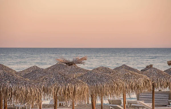 Cane umbrellas — Stock Photo, Image