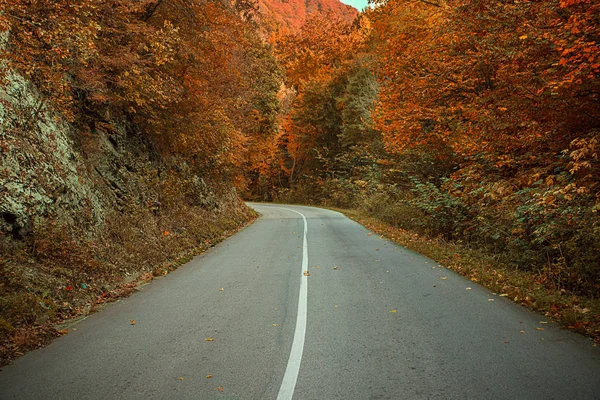 Strada tortuosa — Foto Stock