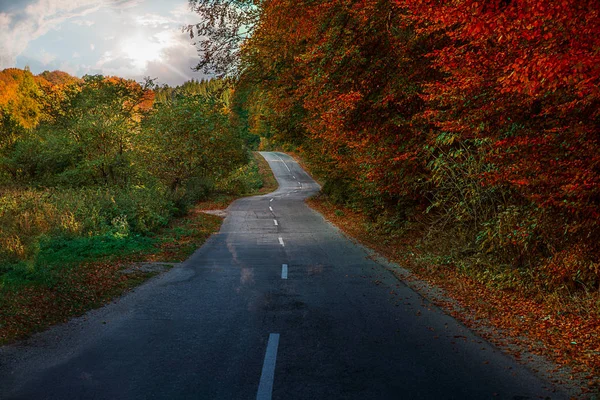 Winding road — Stock Photo, Image