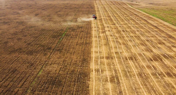 Wheat field with a combine harvester during the harvest, shot from a drone