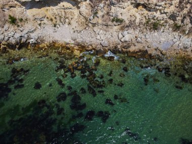 Yaz sahneleri, deniz ve kumsal havadan çekiliyor.