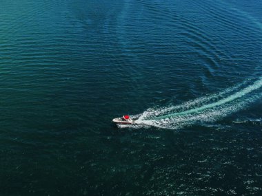 Havada süzülen, suda süzülen