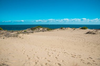 Yeşil çimenli kum tepeciği