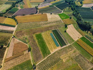 Çeşitli renklerde alanlar, hava manzarası