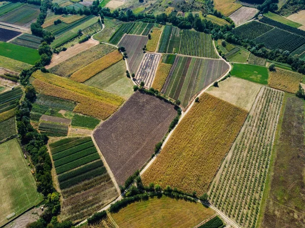 Campos Várias Cores Vista Aérea — Fotografia de Stock