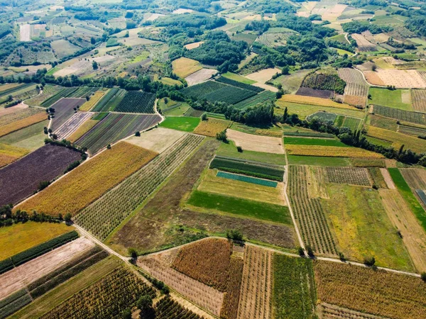 Campos Várias Cores Vista Aérea — Fotografia de Stock