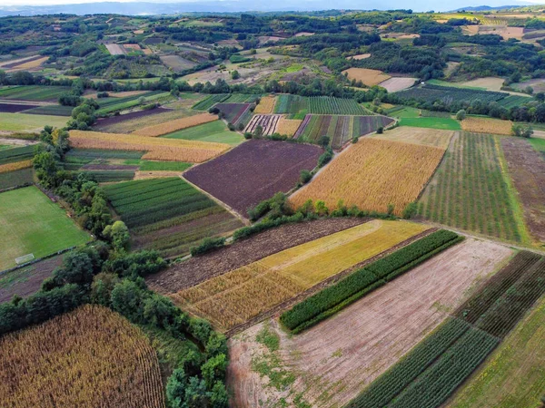 Felder Verschiedenen Farben Luftaufnahme — Stockfoto