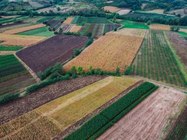 Çeşitli renklerde alanlar, hava manzarası