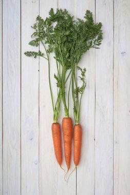 Beyaz ahşap zemin üzerinde yeşil yaprakları ile taze havuç demet. Sebzeler. Organik sebze. Doğal tarım ürünleri