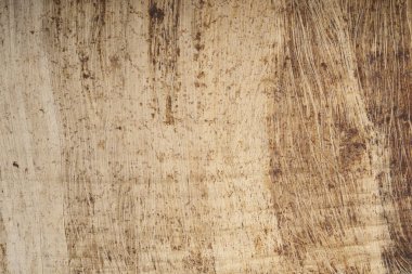 Dokulu arka plan yeri olan Mısır papirüs