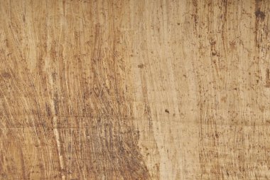 Dokulu arka plan yeri olan Mısır papirüs