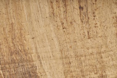 Dokulu arka plan yeri olan Mısır papirüs