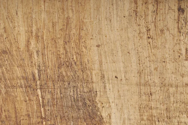 Dokulu arka plan yeri olan Mısır papirüs