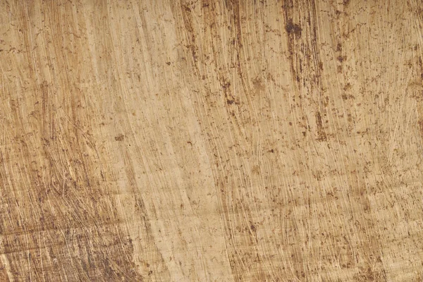 Dokulu arka plan yeri olan Mısır papirüs