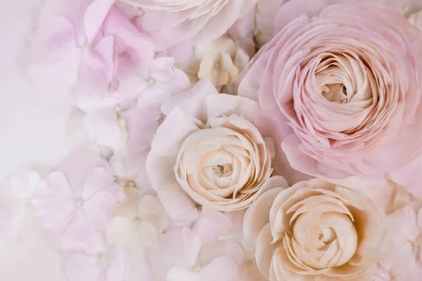 pembe çiçekler üzerinde üst görünümü