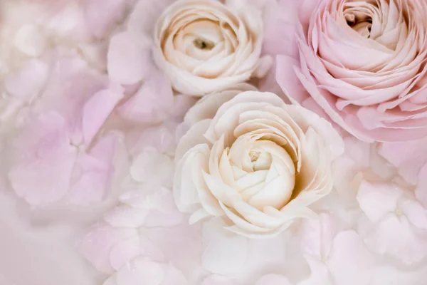 Ελαφριά Ροζ Λουλούδια Εικόνα Αρχείου