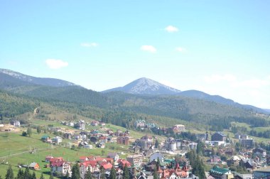 Dağları Karpat hamster