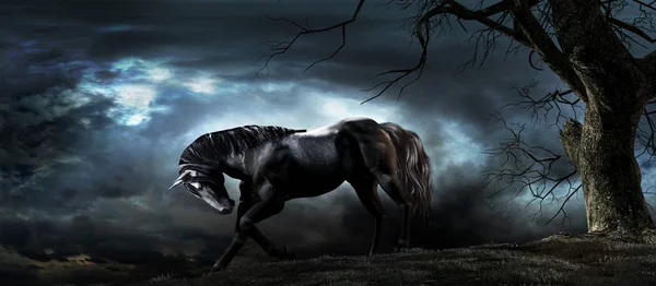 Νυχτερινή Σκηνή Μαύρο Άλογο Στέκεται Κάτω Από Δέντρο — Φωτογραφία Αρχείου