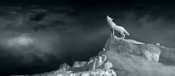 Cenário Ártico Com Lobo Branco Uma Lua — Fotografia de Stock