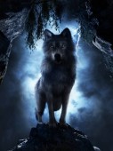 Vlk u vchodu do jeskyně