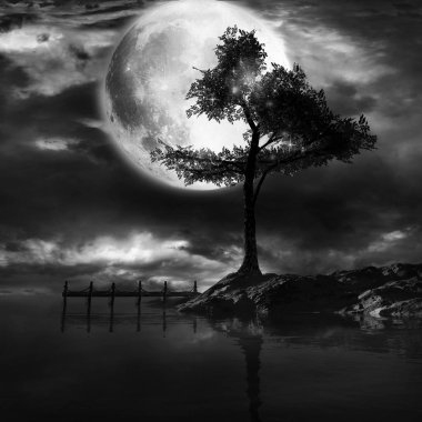 Yalnız ağaç göl kıyısında