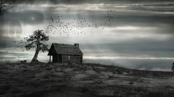 Landscape Old Wooden Hut Dead Tree Birds — Stock Photo, Image